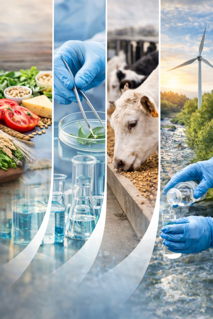 chatgpt image feb 6, 2026, 11 18 27 pm